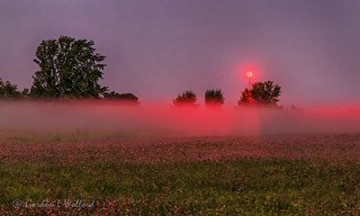 Ground Fog At Night P1550315-21