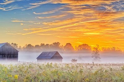 Farm Buildings & Ground Fog At Sunrise P1550606-12