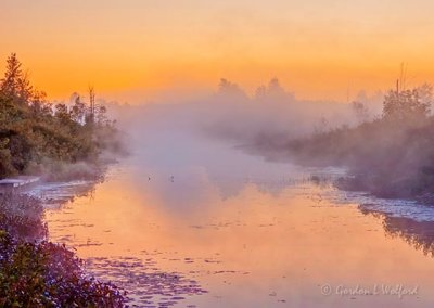 Foggy Irish Creek At Sunrise DSCN32164