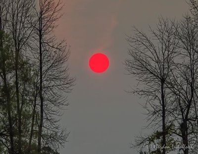 Red Sun Rising DSCN33251