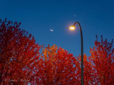 Moon & Venus Over Autumn Trees DSCN37038