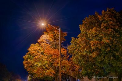 Autumn Streetlight P1560466-72