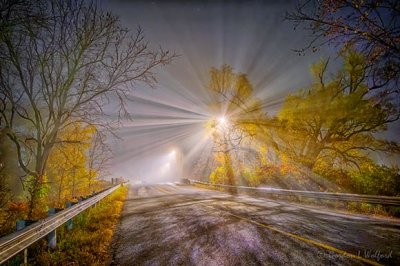 Autumn Old Slys Road In Night Fog P1560480-6