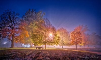 Autumn Lower Reach Park On A Foggy Night P1560499-05