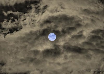 Clouded Halloween Blue Hunter's Moon P1570278