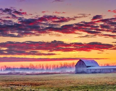 Barn & Ground Fog At Sunrise DSCN39859