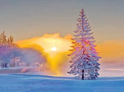 Frost & Mist At Sunrise DSCN48652-4