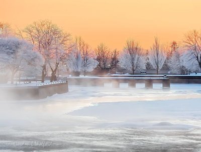 Frosty Trees & Mist At Sunrise DSCN48877-9