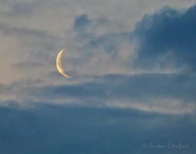 Clouded Crescent Moon DSCN50170