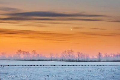 Crescent Moon At Sunrise DSCN50350