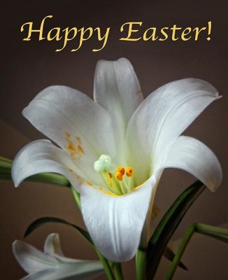 Happy Easter DSCF01326