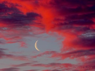 Crescent Moon Beyond Sunrise Clouds DSCN53351