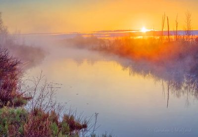 Misty Irish Creek Sunrise DSCN57186