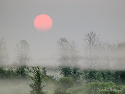 Red Sun Rising Through Ground Fog P1060567
