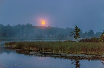 Sturgeon Moon Setting Beyond The Swale 90D03883-6