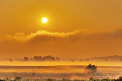 Rising Sun Over Ground Fog 90D04302-6