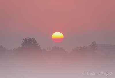 Sun Rising Through Fog 90D04272-6