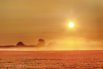 Sun Rising Over Ground Fog 90D04960-4