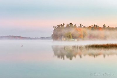 Misty Autumn Otter Lake At Sunrise 90D06995