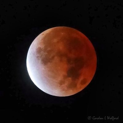 20211119 Partial Lunar Eclipse @ 4:06 (90D09814)