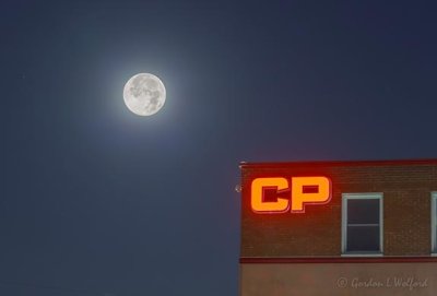 Cold Moon Beyond CP 90D11361-5