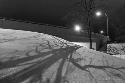 Tree Shadow On Snow At Night 90D11819.21-5BW