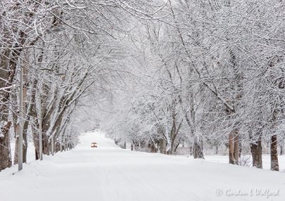 Snowy Winter Lane DSCN89254