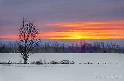 Clouded Winter Sunrise 90D14672-6