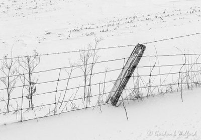 Winter Fence DSCN90119BW