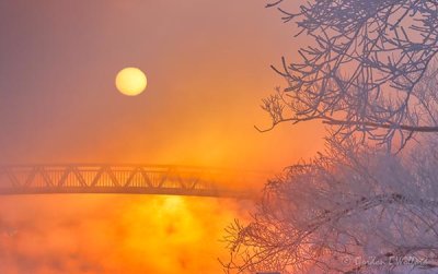 Sun Rising Beyond Footbridge In Mist 90D15705