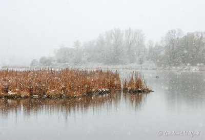 The Swale In An April Snowfall 90D20061