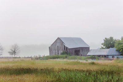 Old Barn On A Foggy Morning 90D27664