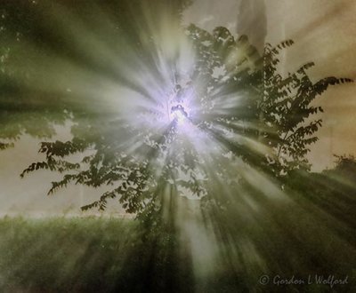 Light Rays Through Night Fog 90D27506-10