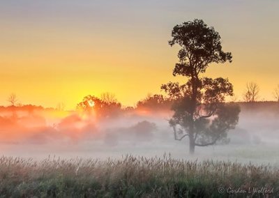 Sunrise Ground Fog 90D28874-8