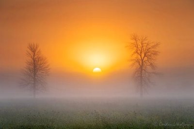 Sun Rising Beyond Fog Bank 90D26913