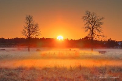 Sunrise Beyond Ground Fog 90D31842-6