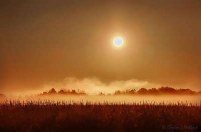 Rising Sun Beyond Distant Ground Fog 90D33396-00