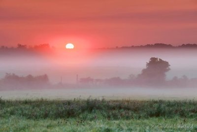 Sunrise Beyond Ground Fog 90D34767