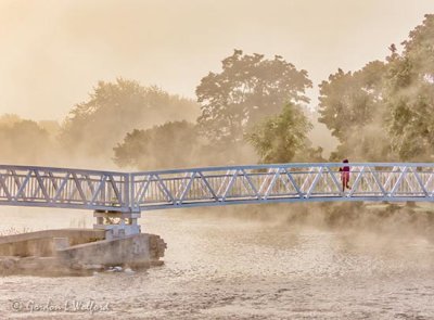 Foxy Fotographer On The Duck Island Footbridge On A Foggy Morning DSCN111589