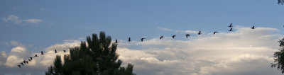 B68U6510.jpg