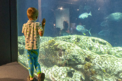 Visiting the Aquarium in Charleston