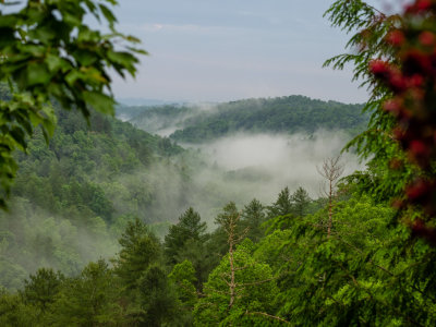 P5301446.jpg