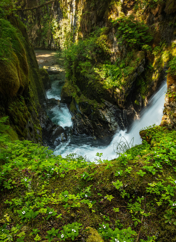 sawmill_creek.jpg