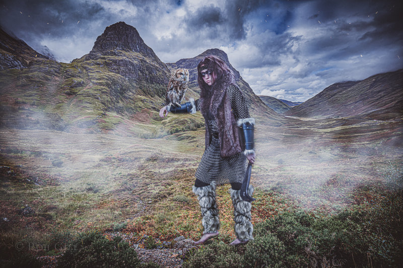 Highlander Caila -.jpg