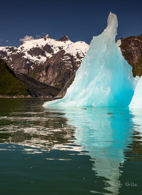 Tracy arm in the spring-8907.jpg