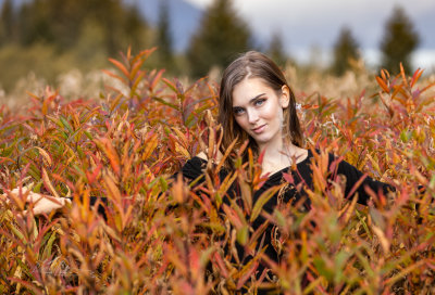 Aurora Fireweed 9923 final-.jpg
