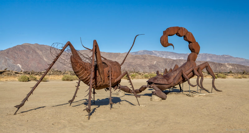 Grasshopper vs Scorpian
