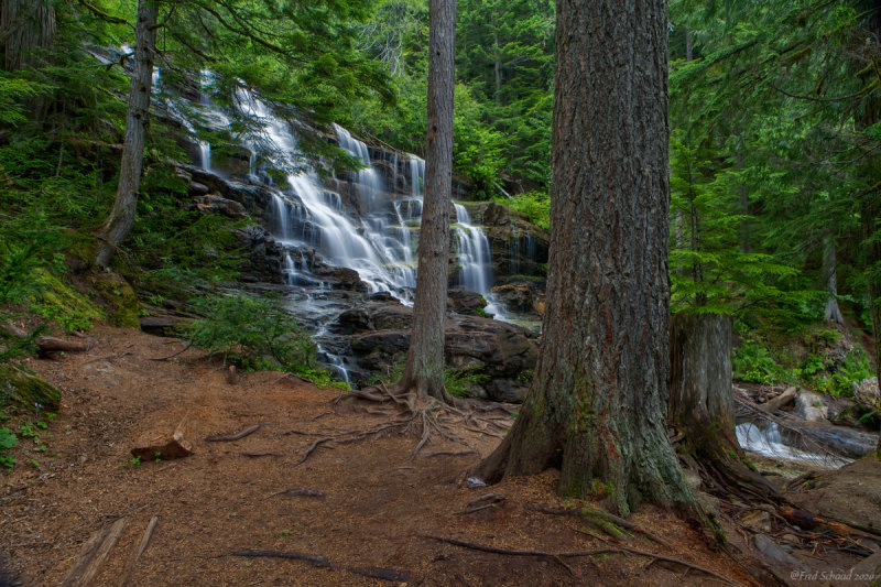 Moses Creek Falls 