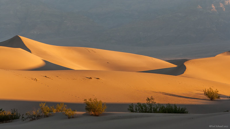 The Dunes of Death Valley