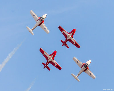 g12/75/646675/3/172825926.2eDfwfqs.jpg